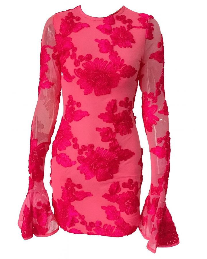 Ayla | Lace Floral Mini Dress