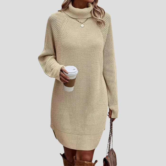 Women's Turtleneck Sweater Dress Long Sleeve Relaxed Fit